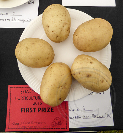 Perfect Potatoes?