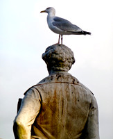 Sir Humphry Davy Gets The Bird