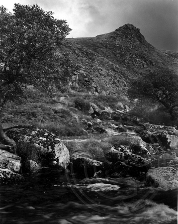 Tavy Cleave and Ger Tor