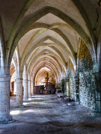 Vaulted undercroft with wine press, Abbaye de la Guiche near Blois