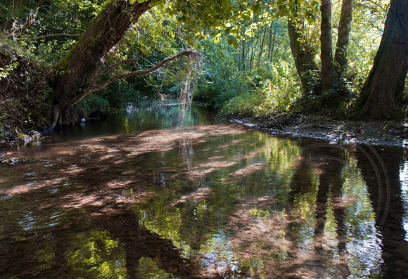 The Donniford Stream near Williton
